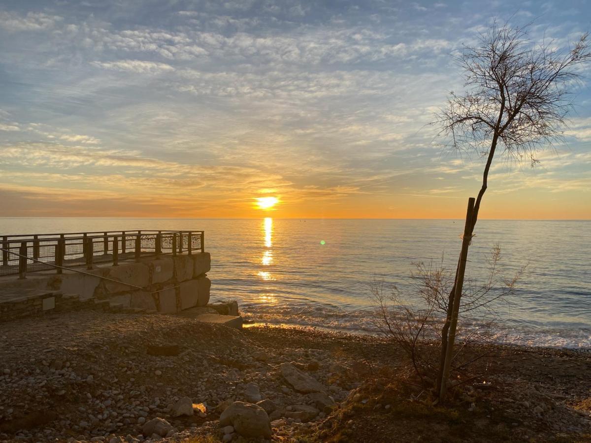 Mediterranean Dream Views Oropesa del Mar Dış mekan fotoğraf